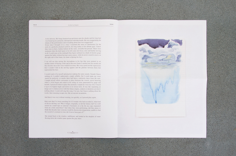 W I D D E R II, Whitedwarf Projects, 2019